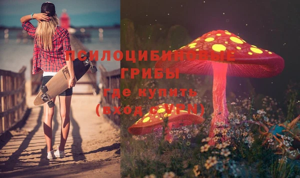 индика Каменск-Шахтинский