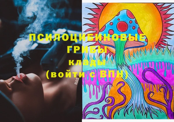 ПСИЛОЦИБИНОВЫЕ ГРИБЫ Болотное