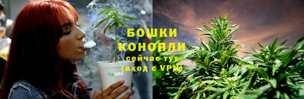 Альфа ПВП Каменногорск
