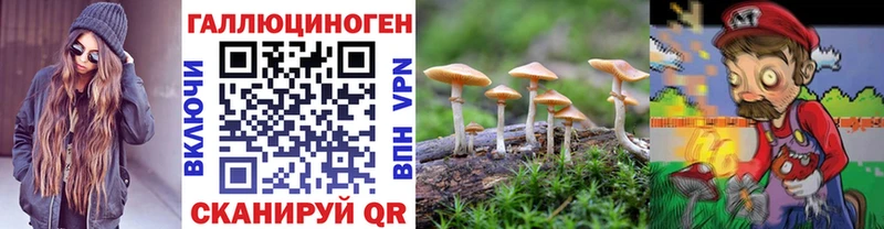 Галлюциногенные грибы мицелий  Купить где  Аша 